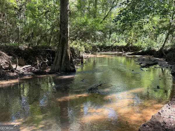 032 Wallace Buie Road, Webb, AL 36376