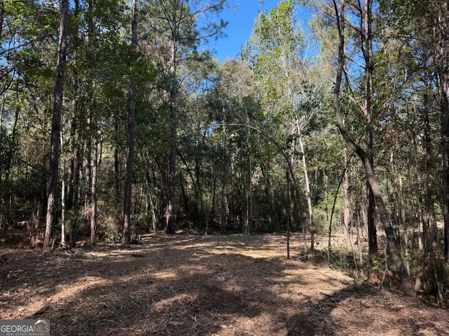 032 Wallace Buie Road, Webb, AL 36376 - Image #2