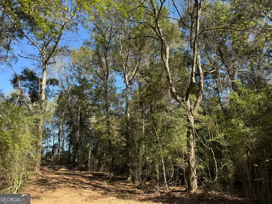 032 Wallace Buie Road, Webb, AL 36376 - Image #3