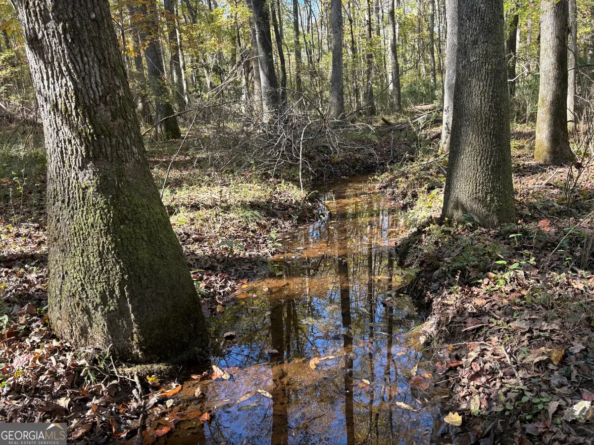 0 Bolton Road, Zebulon, GA 30295 - Image #1