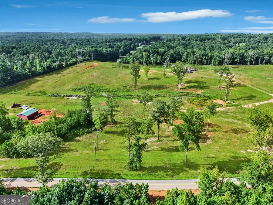 369 Old Driver Road, Whitesburg, GA 30185 - Image #2