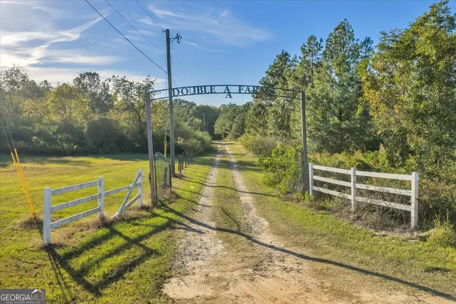 874 Mistletoe Road, Abbeville, GA 31001 - Image #2