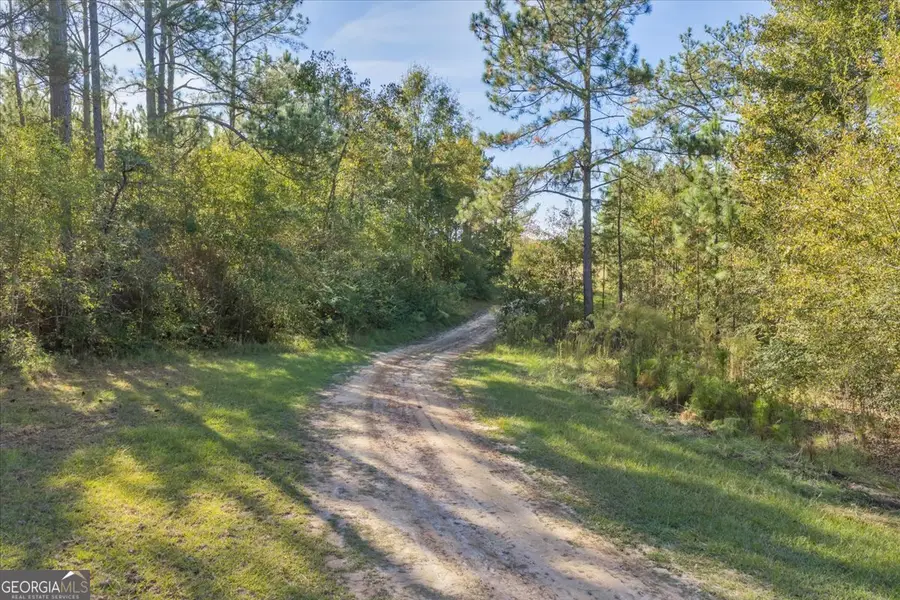 874 Mistletoe Road, Abbeville, GA 31001 - Image #3