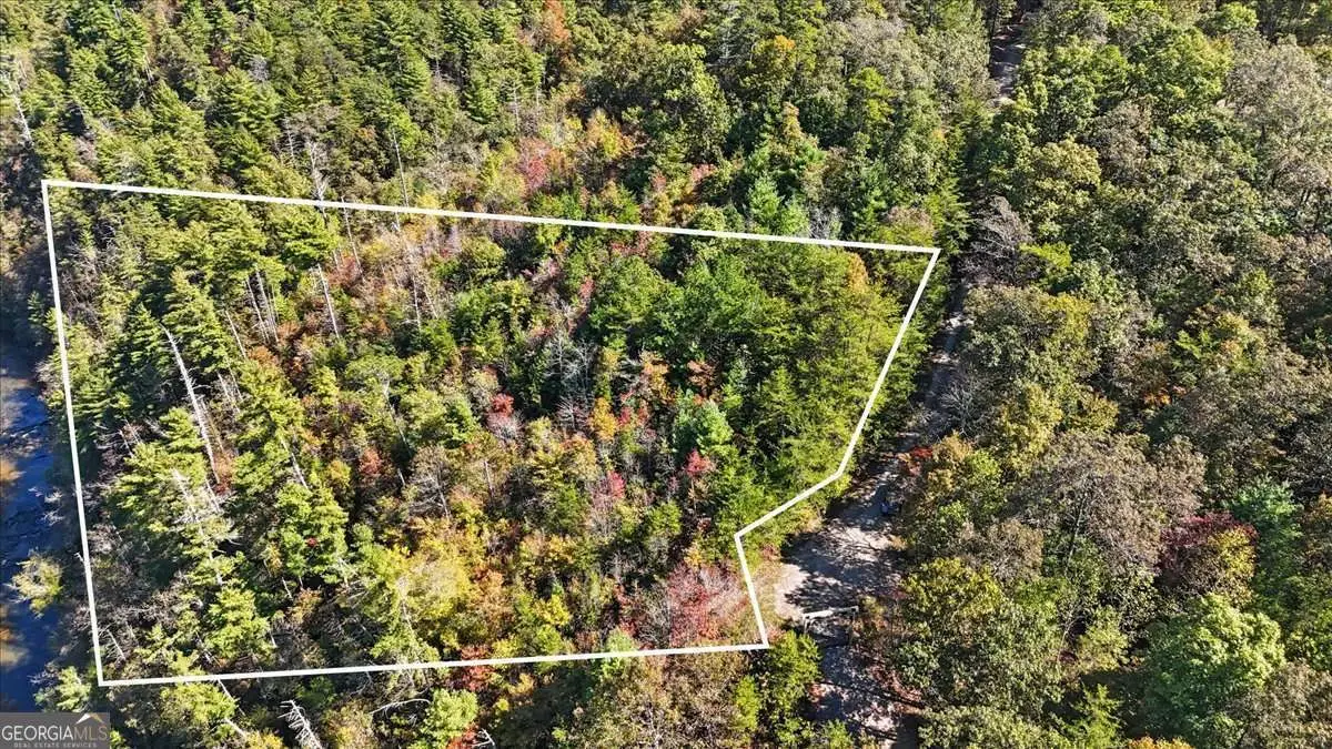 1666 Hunter Drive, Ranger, GA 30734 - #1