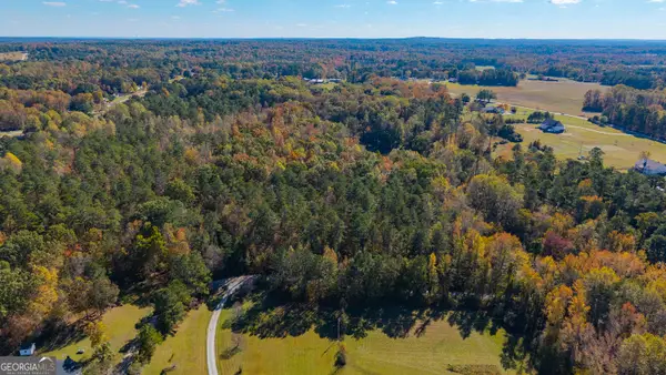 0 Roy Morgan Road #17.44 ACRES, Carrollton, GA 30117