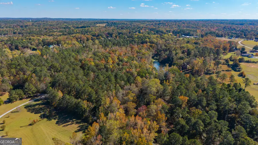 0 Roy Morgan Road #17.44 ACRES, Carrollton, GA 30117 - Image #3