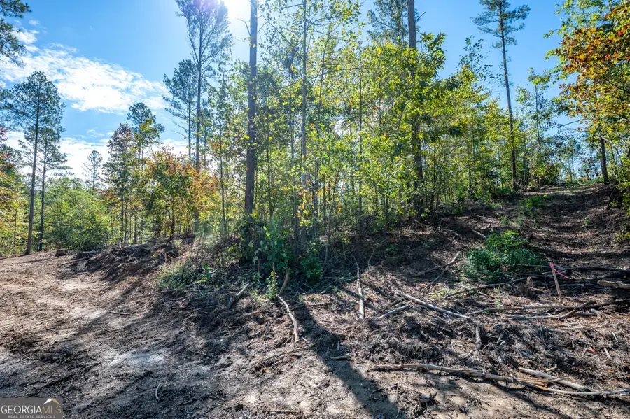 3805 Hwy 140 Ne, Rydal, GA 30171 - #3