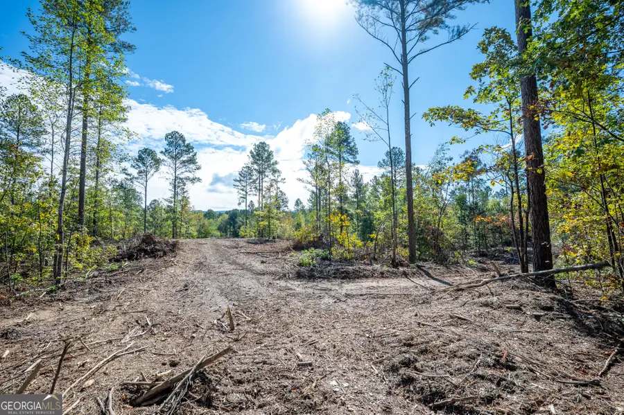 3801 Hwy 140 Ne, Rydal, GA 30171 - #3