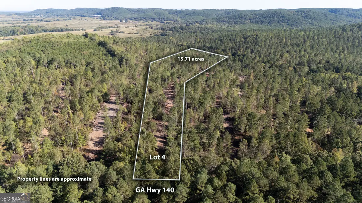 3797 Hwy 140 Ne, Rydal, GA 30171 - #1