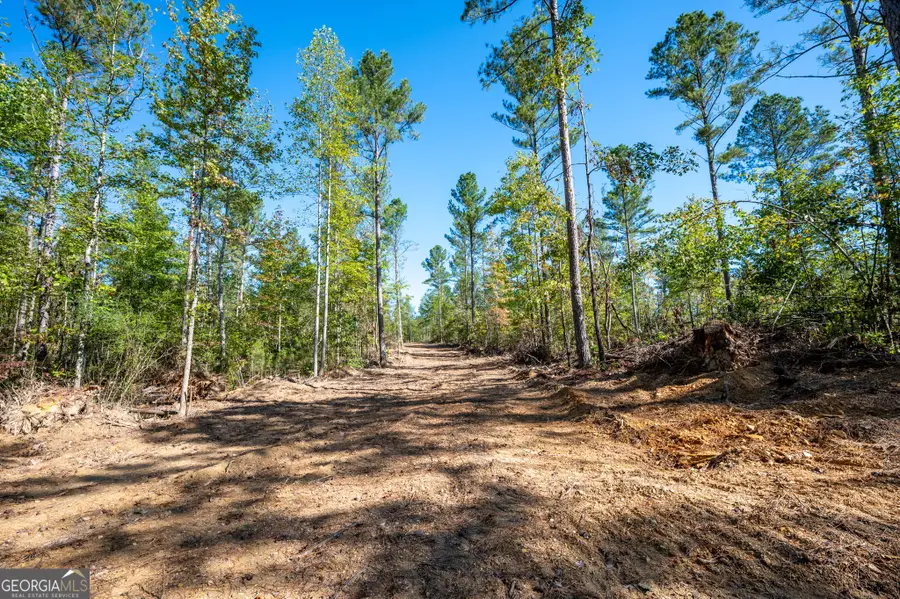 3785 Hwy 140 Ne, Rydal, GA 30171 - Image #3