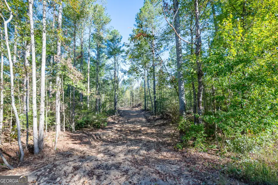 3859 Hwy 140 Ne, Rydal, GA 30171 - #2