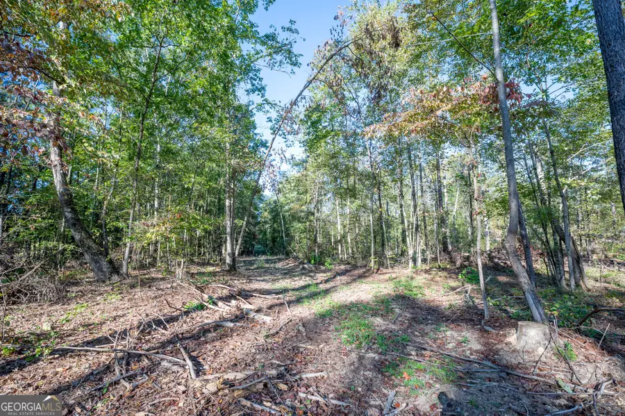 3859 Hwy 140 Ne, Rydal, GA 30171 - #3