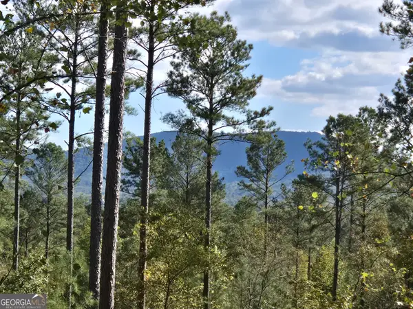 3871 Hwy 140 Ne, Rydal, GA 30171