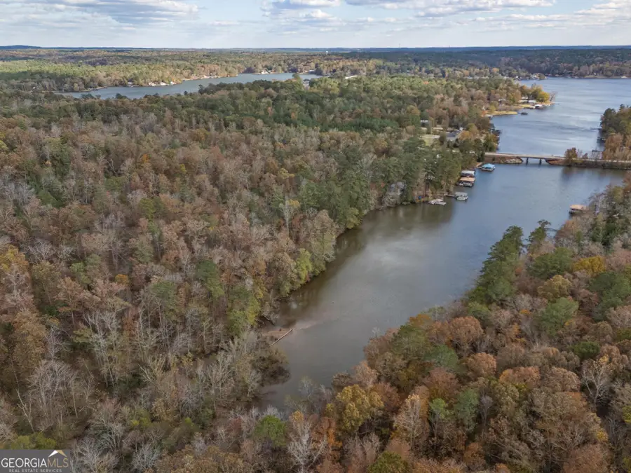 0 Conley Ditch Road, Covington, GA 30014 - Image #3