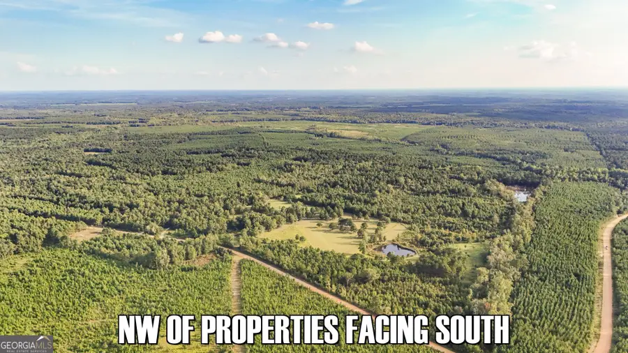 2340 Joyner Oglesby Road, Sardis, GA 30456 - Image #2