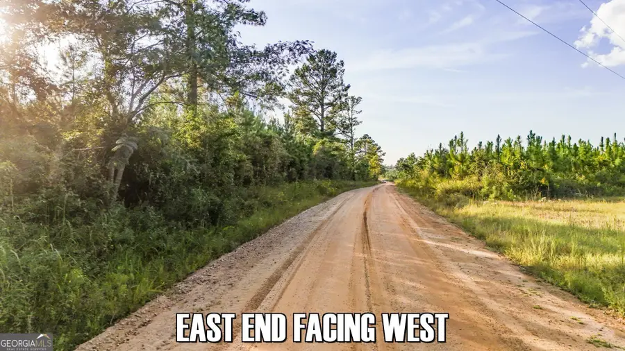 2340 Joyner Oglesby Road, Sardis, GA 30456 - Image #3