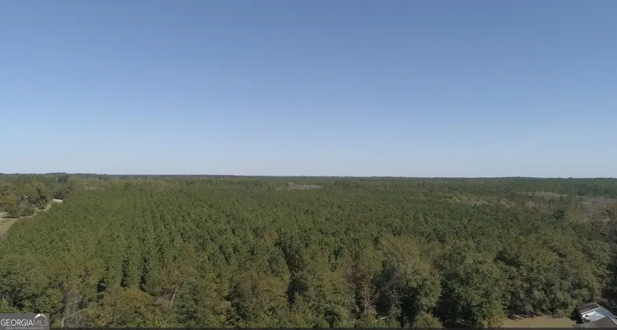 2202 Kennedy Bridge Road, Register, GA 30452 - Image #3