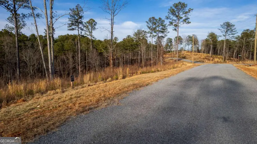 LOT 177 Shallow Water Way, Talking Rock, GA 30175 - Image #3