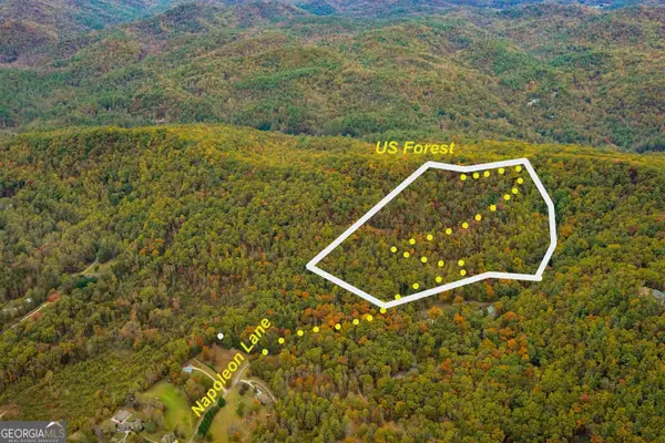 0 Napoleon Lane, Tiger, GA 30576