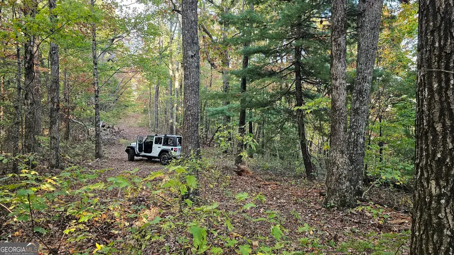 0 Napoleon Lane, Tiger, GA 30576 - Image #3