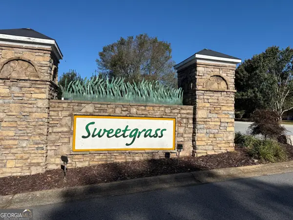 1734 Rabbit Brush Drive, Demorest, GA 30535