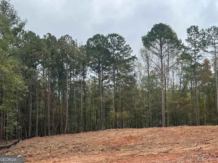 LOT 29 Mossy Oak Court #29, Newnan, GA 30263 - Image #2