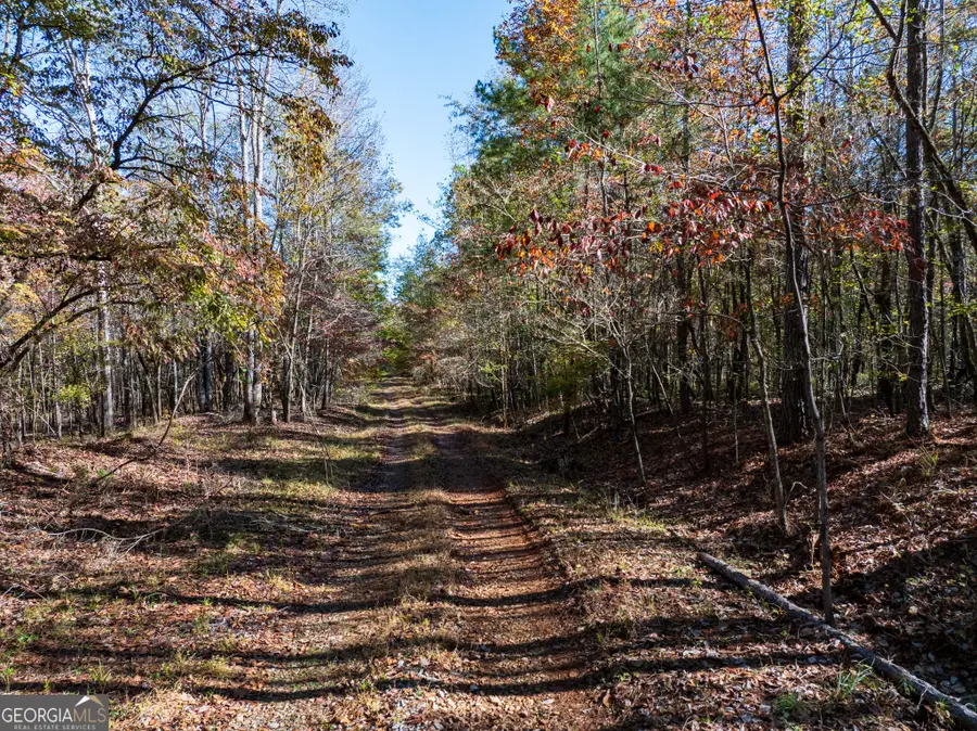 69.98 ACRES Saxon Mattox Road, Carlton, GA 30627 - Image #2