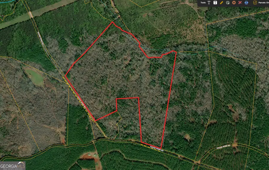 69.98 ACRES Saxon Mattox Road, Carlton, GA 30627 - Image #3