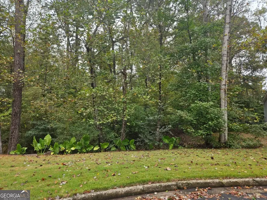 0 Cedar Farms Drive, Lawrenceville, GA 30043 - Image #3