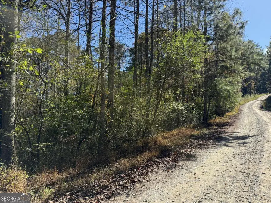 0 Heritage Way, Ellijay, GA 30540 - Image #2