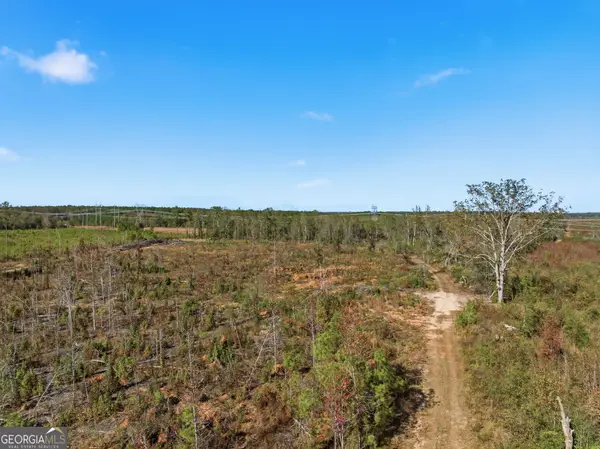 39.702 AC Heards Bridge Road, Davisboro, GA 31018