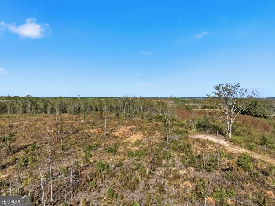 39.702 AC Heards Bridge Road, Davisboro, GA 31018 - Image #2