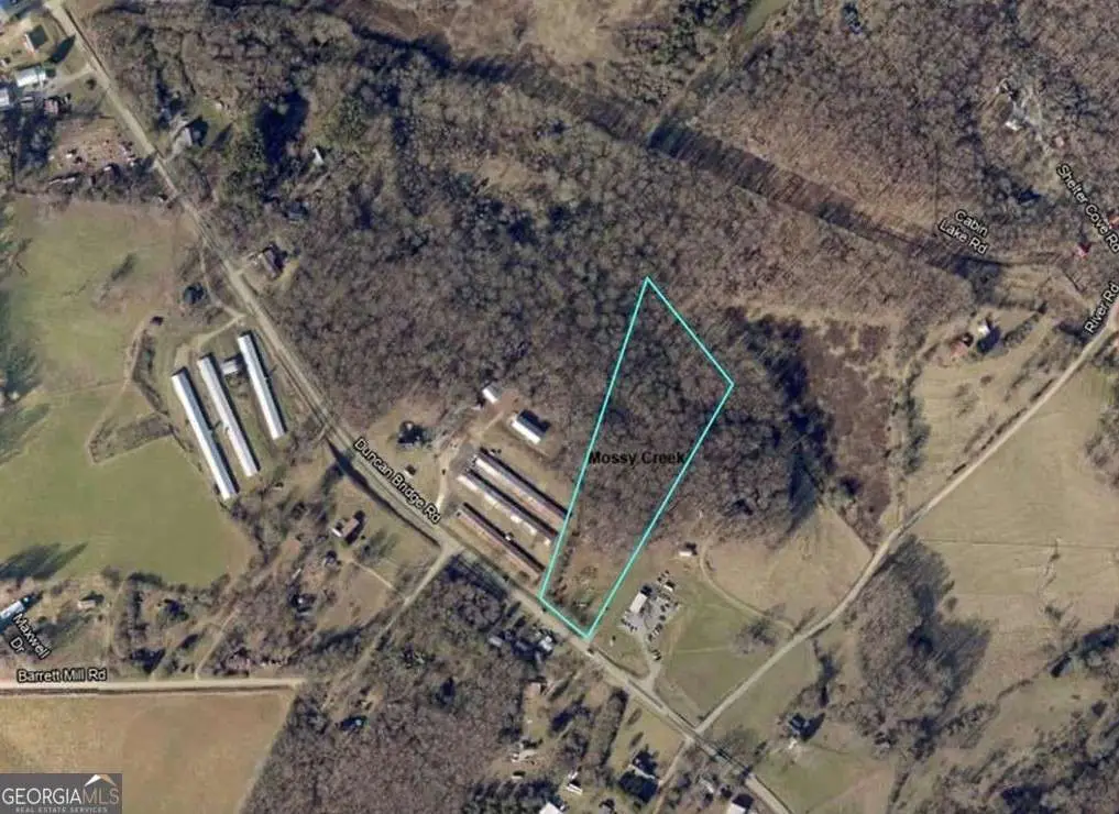 0 Duncan Bridge, Cleveland, GA 30528 - Image #1