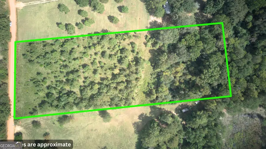 350 Watermelon Road, Andersonville, GA 31711 - Image #3