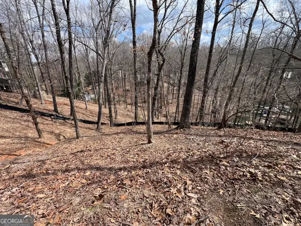 3393 Banks Mountain Drive, Gainesville, GA 30506