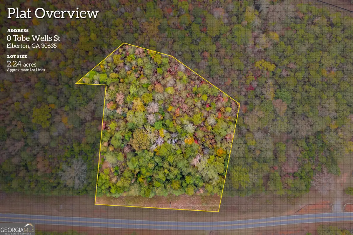 0 Tobe Wells Road, Elberton, GA 30635 - Image #1