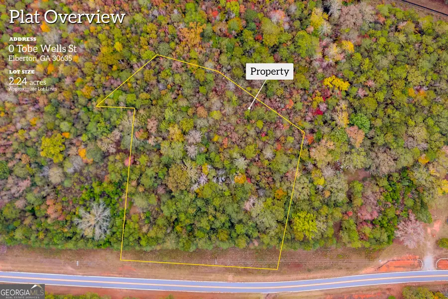 0 Tobe Wells Road, Elberton, GA 30635 - Image #2