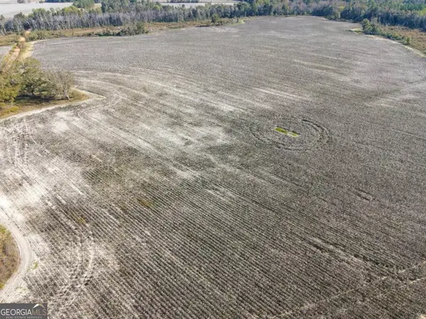 0 Bowen Hill Road, Garfield, GA 30425