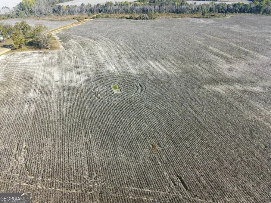 0 Bowen Hill Road, Garfield, GA 30425 - Image #3