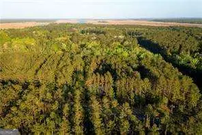 LOT 4 Waverly Lane, White Oak, GA 31568 - #2