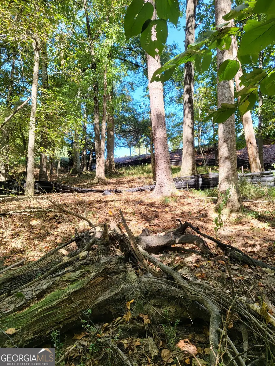 1140 Deborah Lane, Suwanee, GA 30024 - Image #3