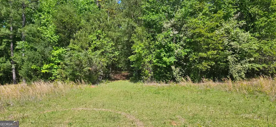 138 Lewis Road, Jackson, GA 30233 - #2