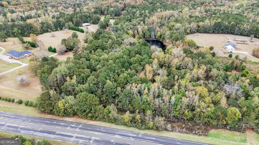 2821 Hwy Us-19, Meansville, GA 30256 - Image #3