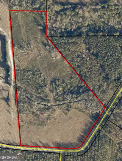 0 Thorn Bird, Millwood, GA 31552 - Image #1