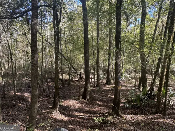 0 Sand Hammock Road, Hawkinsville, GA 31036