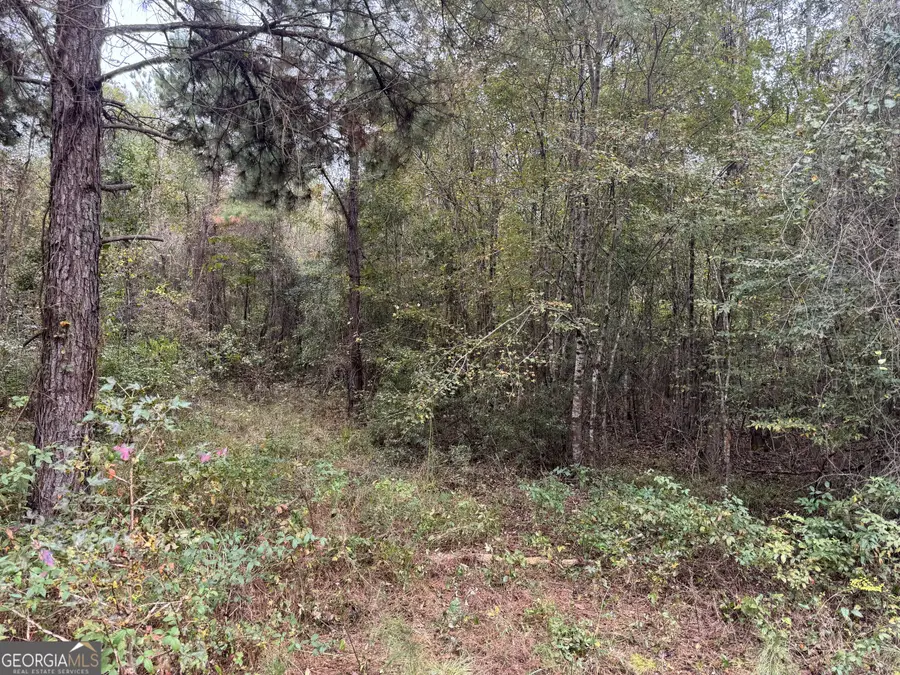 0 Sand Hammock Road, Hawkinsville, GA 31036 - Image #2