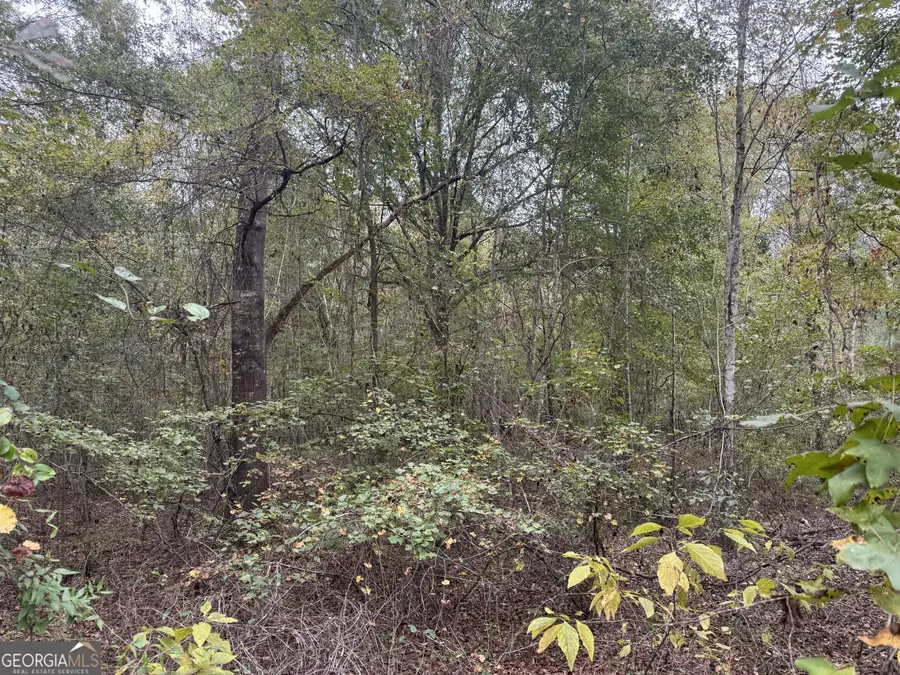 0 Sand Hammock Road, Hawkinsville, GA 31036 - Image #3