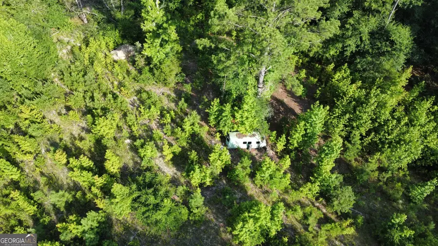 700 Gun Club Road, Box Springs, GA 31801 - Image #3