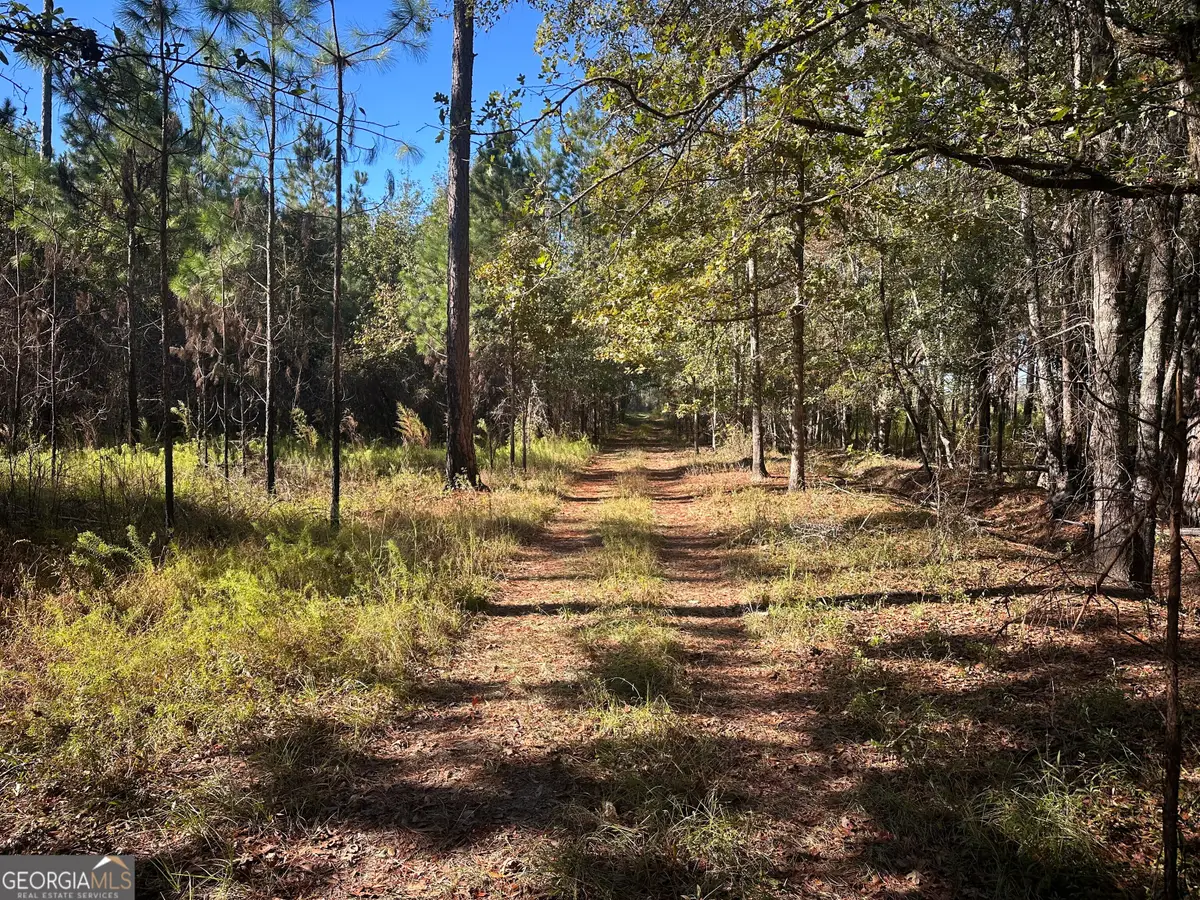 0 Buck Creek Road, Sylvania, GA 30467 - Image #1