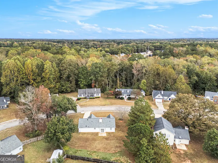 248 Fern Court, Hampton, GA 30228 - Image #3